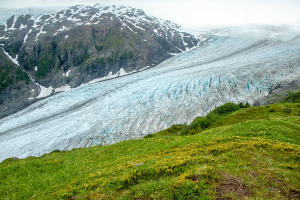 Exit Glacier, Alaska, USA, as seen from the Harding Ice field Trail. stock photo