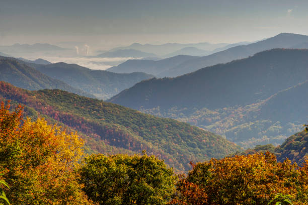 capas de las montañas en otoño colores en las smokies. - great smoky mountains great smoky mountains national park leaf autumn fotografías e imágenes de stock