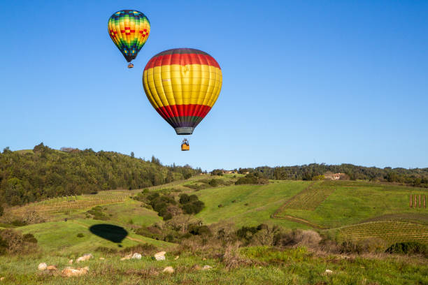 Hot air balloons floating over Napa Valley, California, at sunrise stock photo