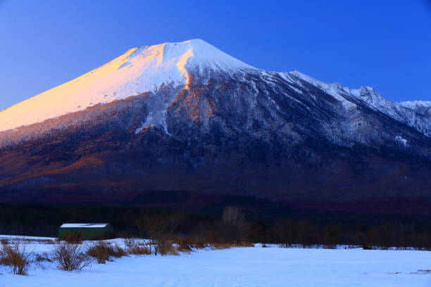 istock Iwate mountain in winter and one cherry tree 1095690594