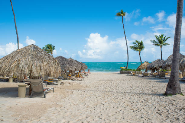 istock Dominican Republic Punta Cana Beach 1095694286