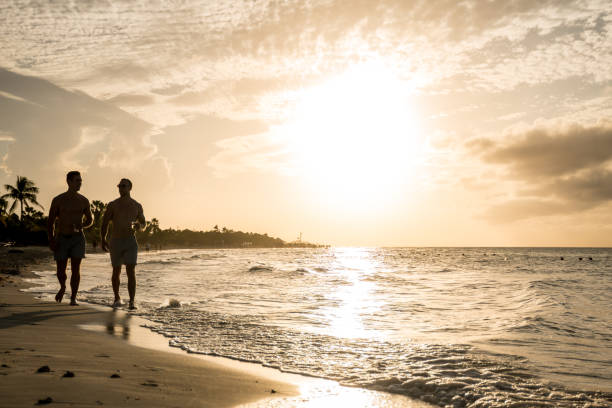 istock Young homosexual couple walking on the beach 1095694434