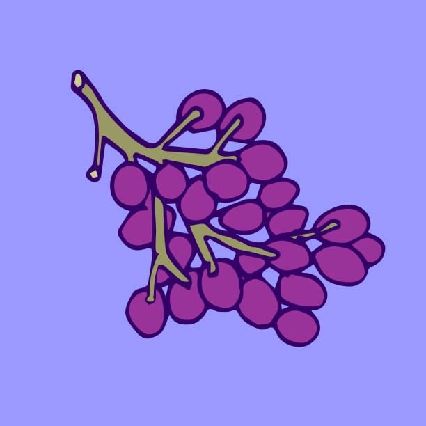 Bunch of Grapes vector art illustration