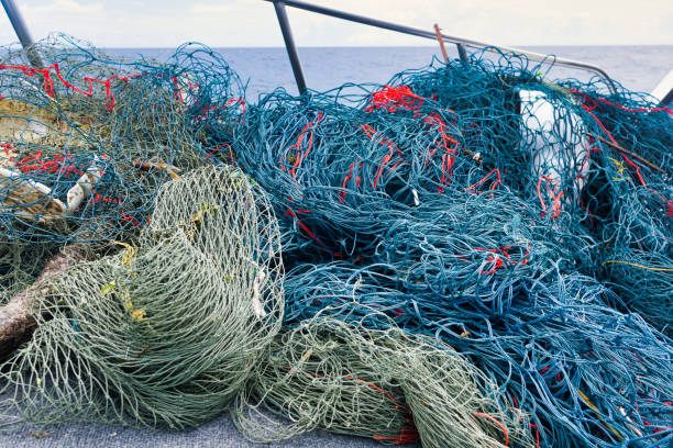 Environmental Cleanup Ghost Net fishing net removed from polluting the ocean Here we see the fruits of an environmental cleanup in the Ocean. ‘Ghost Nets’ are the term now used for abandoned or obsolete items from the fishing industry, which become dangerous garbage polluting the Ocean. Ghost Nets are responsible for the deaths of huge amounts of Marine Life every year, through entanglement and consumption. The location is near Phi Phi islands in the Andaman Sea, Krabi, Thailand. boat-fishing-net stock pictures, royalty-free photos & images