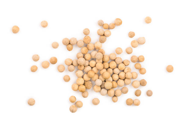 istock white peppercorns isolated on white background. Top view. Flat lay. Close up 1095720072