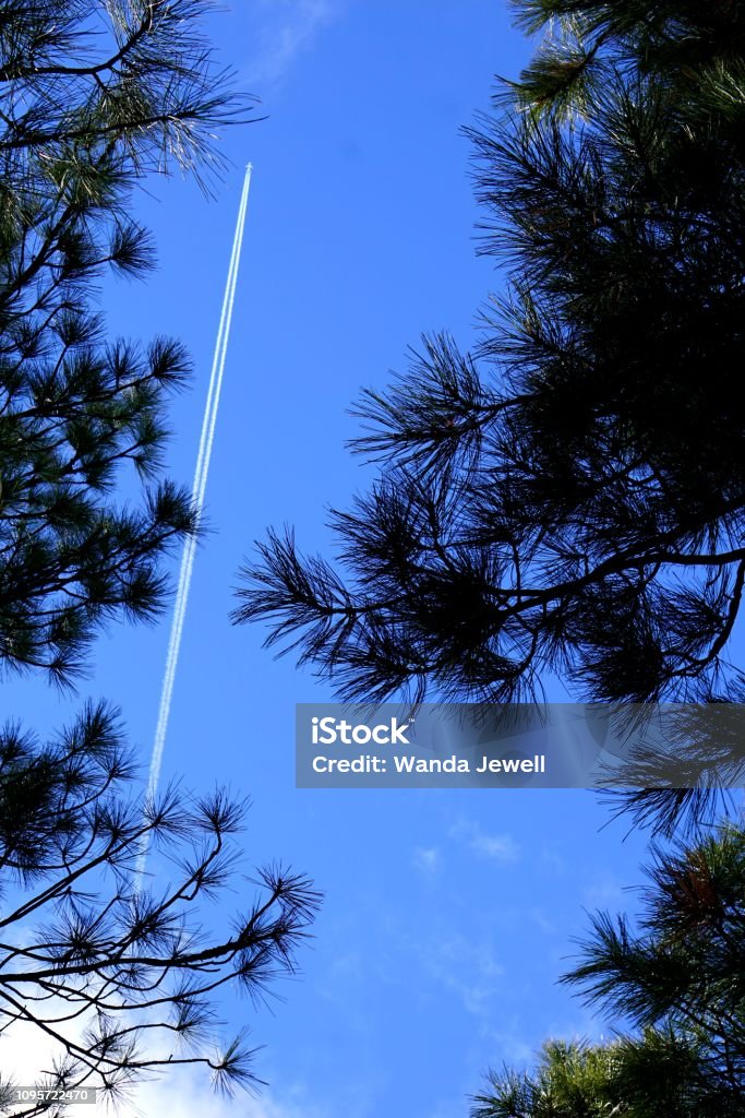 The Plane William's, Arizona sky in January with a plane flying overhead in a blue sky. 2019 Stock Photo