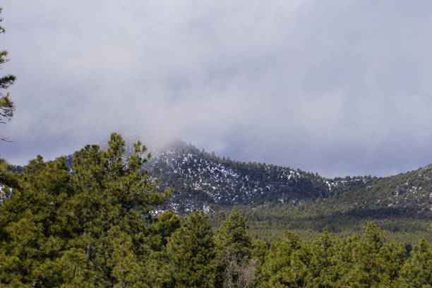 istock Mountain in Williams, Arizona 1095725440