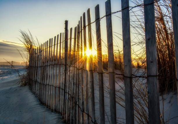 istock Sunflare threw the fence 1095734534