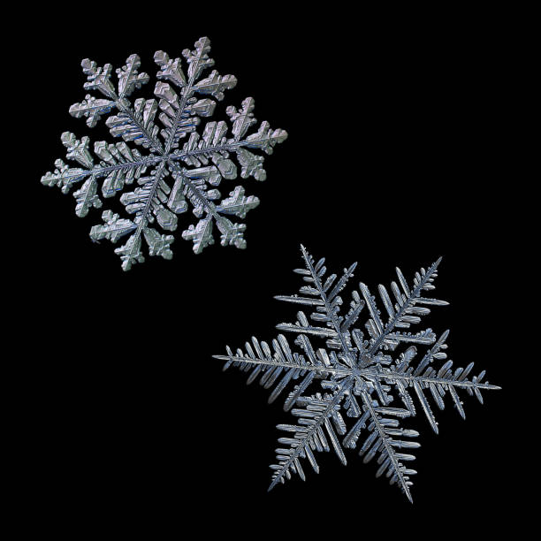 istock Two snowflakes isolated on black background 1095742714