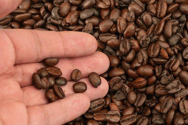 istock Roasted coffee beans, can be used as a background 1095752666