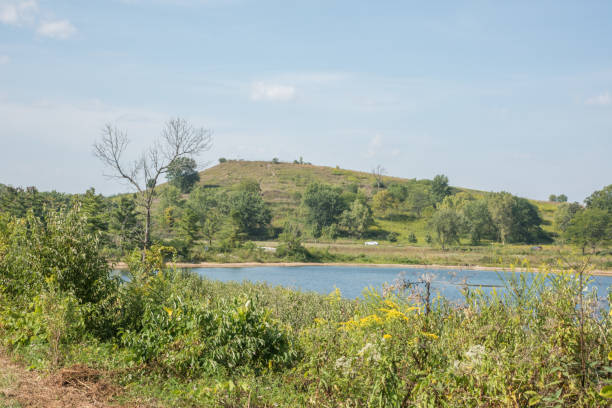 Hill, Lake and Grasses: McDowell Woods