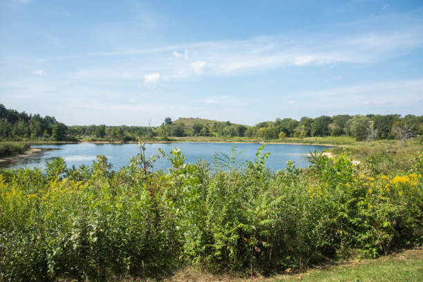 istock Natural Grasses on the Waterfront 1095756946