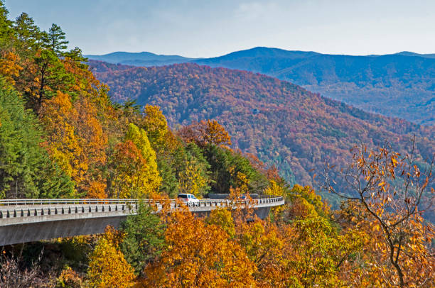 ふ��もとの小丘のパークウェイの行方不明のリンクの美しい秋ビュー。 - great smoky mountains great smoky mountains national park leaf autumn ストックフォトと画像