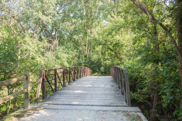 istock Woodland Footbridge 1095759906