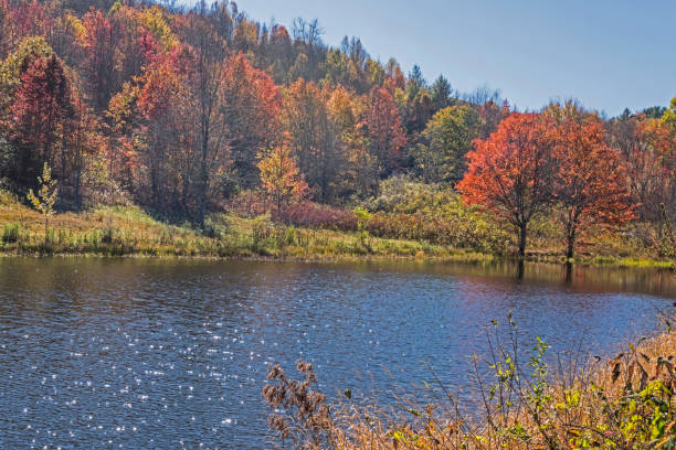 istock A clear blue lake surrounded with fall colored leaves. 1095760600