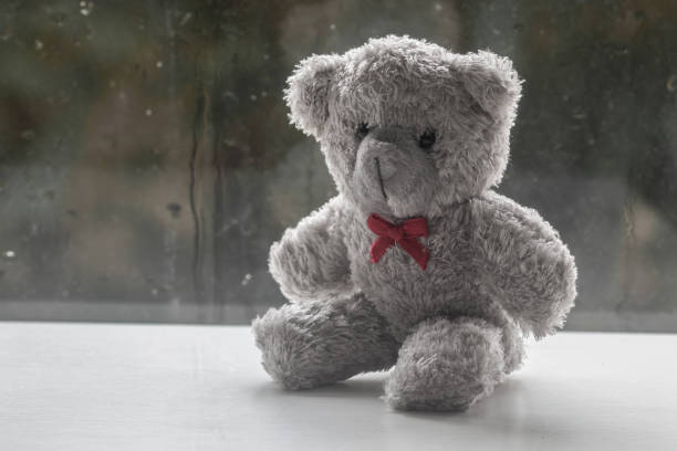 Teddy Bear Placed On Wood Background Stock Photo - Download Image Now - Animal Hair, Bear, Black Color - iStock Teddy Bear Placed On Wood Background Stock Photo - Download Image Now - Animal Hair, Bear, Black Color - iStock