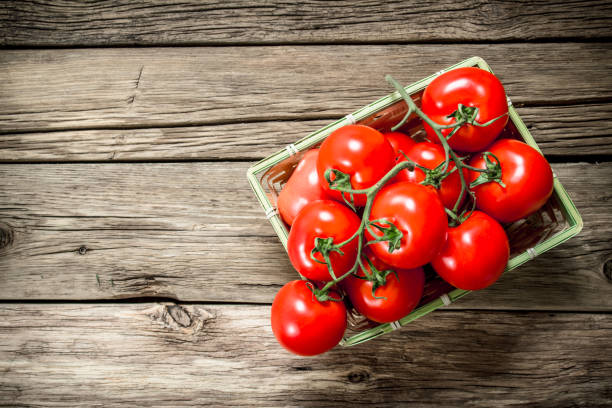 istock Ripe tomatoes in a basket. 1095787936