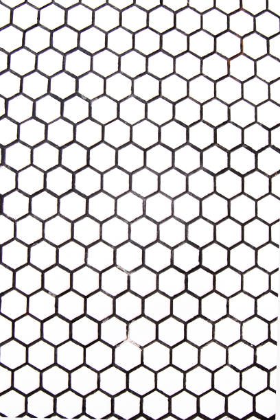 istock Marble trendy tiles small white squares with black. 1095789026