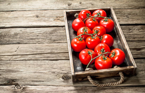 istock Fresh tomatoes in a wooden tray. 1095789156