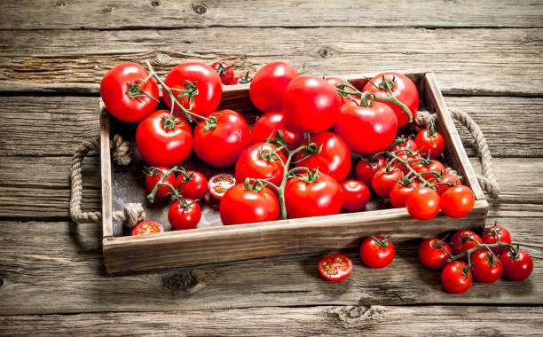 istock Fresh tomatoes in a wooden tray. 1095789158