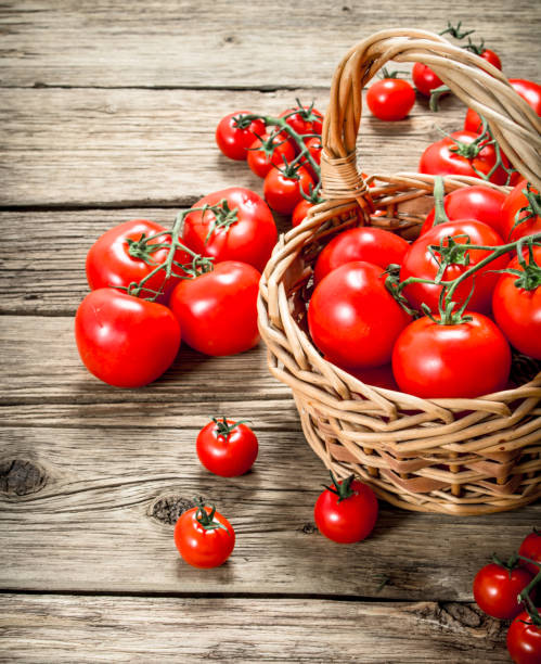 istock Ripe tomatoes in a basket. 1095791194