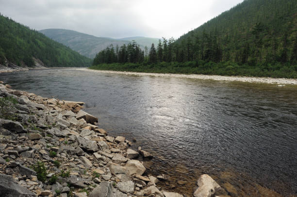 istock Maya river tributary of the Uda river. 1095794450