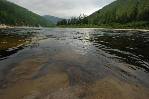 istock Maya river tributary of the Uda river. 1095794454