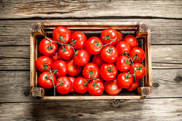 istock Ripe tomatoes in a wooden box. 1095802012