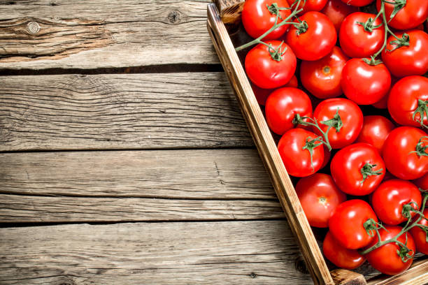 istock Ripe tomatoes in a wooden box. 1095802068