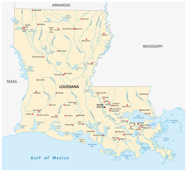 ilustrações de stock, clip art, desenhos animados e ícones de vector map of the u.s. state of louisiana - blush