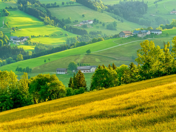 istock Mostviertel pear region of Austria 1095810290