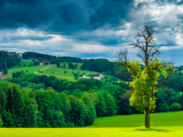istock Mostviertel pear region of Austria 1095810352