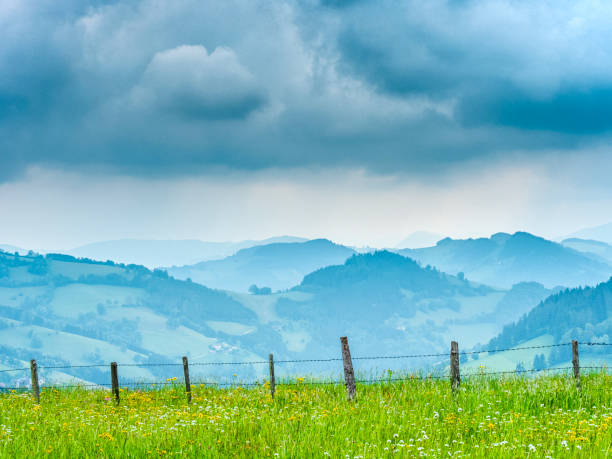 istock Mostviertel pear region of Austria 1095811316