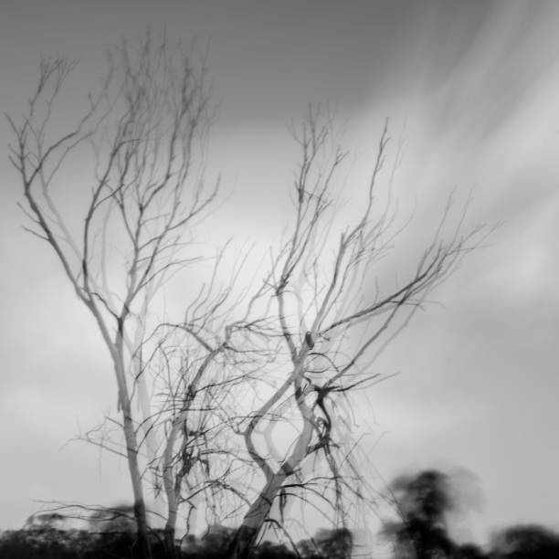 istock Beautiful long exposure landscape in a nature reserve during a windy winters day 1095826656