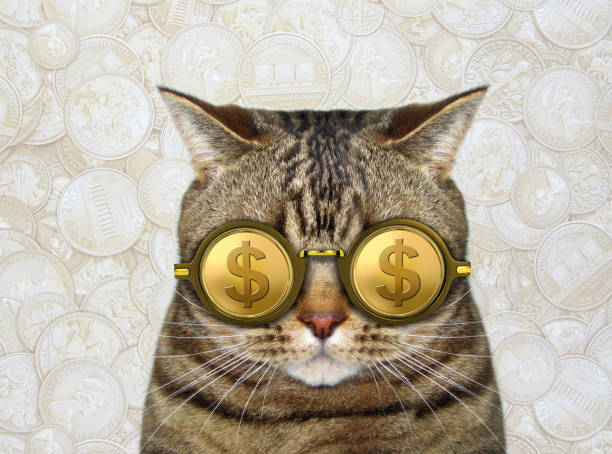 istock Cat in gold dollar glasses 3 1095827072