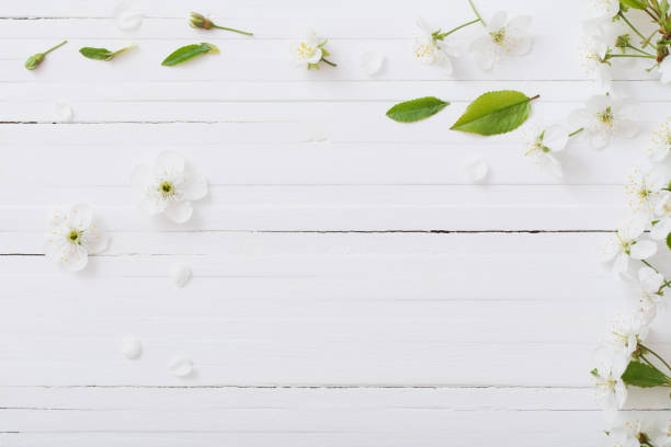 istock spring flowers on white wooden background 1095827264