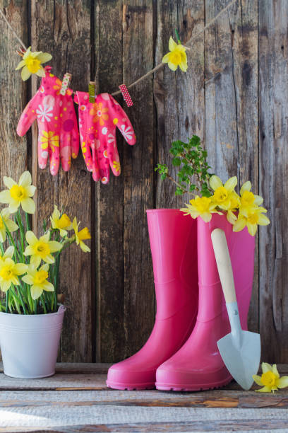 istock rubber boots and spring flowers on wooden background 1095827280