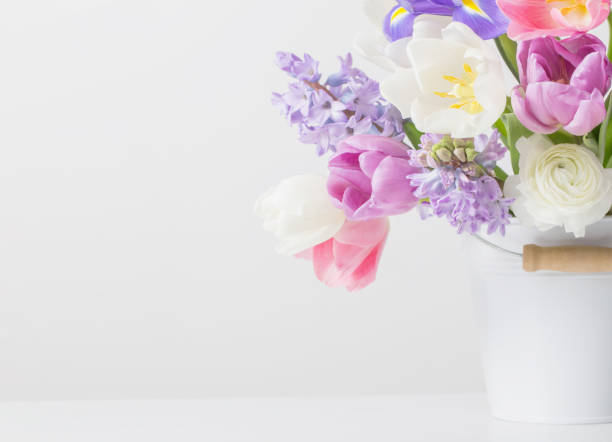 istock spring flowers in bucket on white  background 1095835854