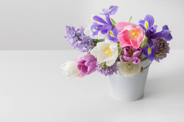 istock spring flowers in bucket on white  background 1095835868