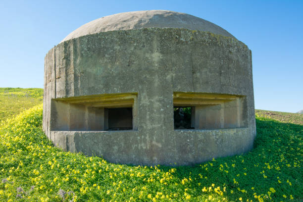 istock German bunker in Sicily, near Gela 1095839984
