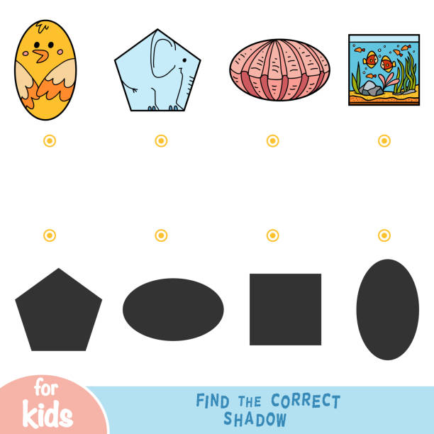 найти правильную тень, образование игры, набор животных - 7946 stock illustrations