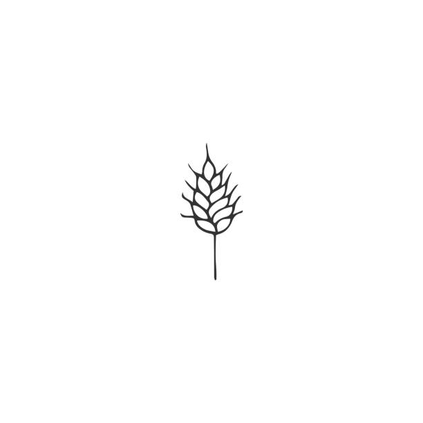 ilustrações de stock, clip art, desenhos animados e ícones de vector object, a wheat spike. hand drawn label element. - homegrown produce wheat organic crop