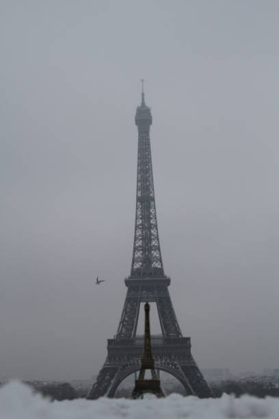 istock Eiffel tower at black and white September 30, 2018 in Paris. Night in Paris with Eiffel tower, most visited monument of France with 200.000.000 visit 1095869418