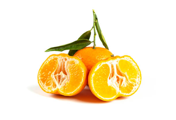 Three manderin oranges isolated on white background.