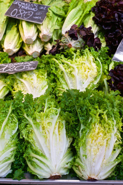 Romaine Organic Lettuce on sale Romaine Organic Lettuce on sale Valencia Spain cruciferous vegetables stock pictures, royalty-free photos & images