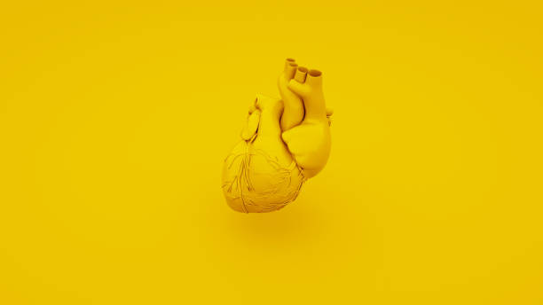 Yellow Anatomical Heart Concept. 3D illustration