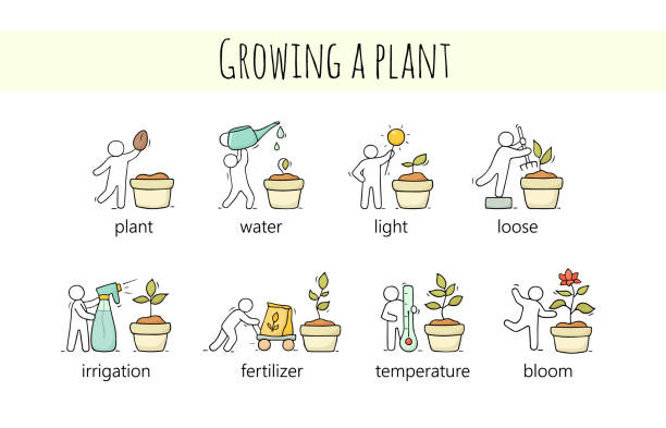 일련의 작은 사람들이 성장 식물을 스케치 합니다. - tree growth cultivated sapling stock illustrations