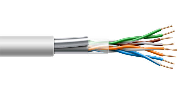 twisted-pair-kabel mit fiol abschirmungsstruktur. realistische vektor-illustration. - kabel stock-grafiken, -clipart, -cartoons und -symbole
