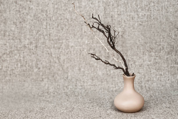 dry branches dark and light in a clay jug on the background of the canvas - still life in rustic style - кувшин imagens e fotografias de stock