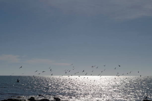 istock Life by seashore in Black sea Nessebar 1095889746
